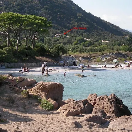 Nitiola De Palombaggia Bocca del Oro