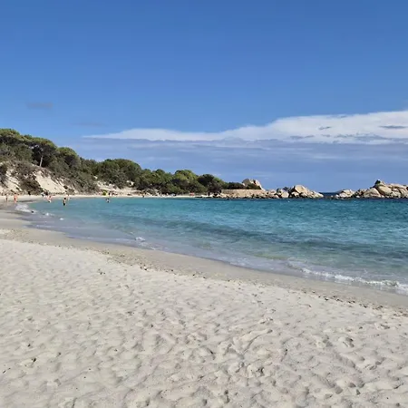 Nitiola De Palombaggia