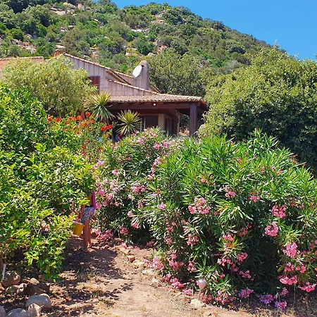 Nitiola De Palombaggia Bocca del Oro