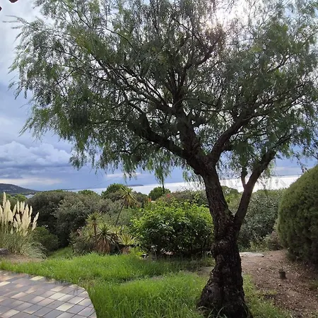 Nitiola De Palombaggia Bocca del Oro