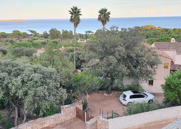 Nitiola De Palombaggia Bocca del Oro