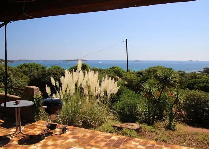 Nitiola De Palombaggia *