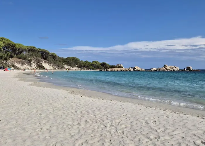 Nitiola De Palombaggia