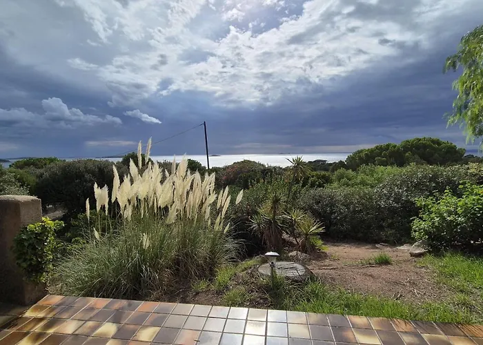 Nitiola De Palombaggia