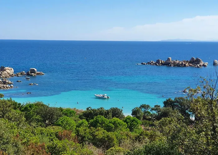 Nitiola De Palombaggia *