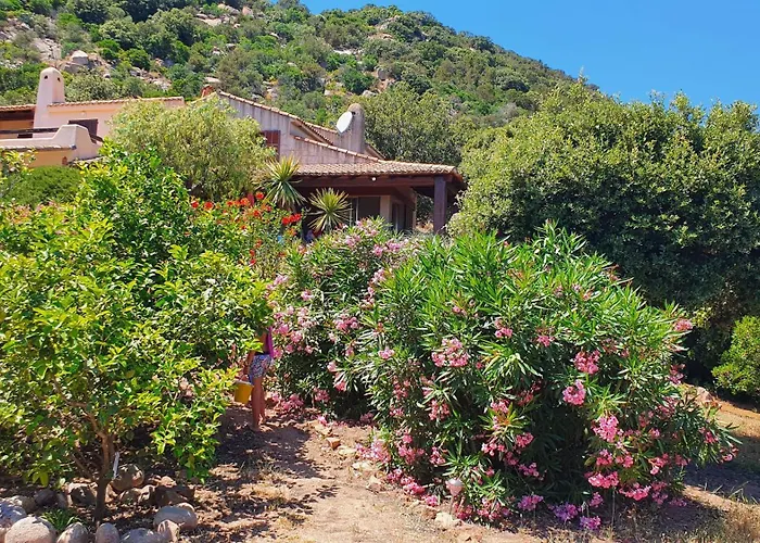 Nitiola De Palombaggia Bocca del Oro