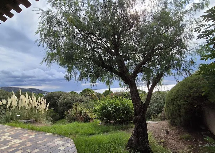 Nitiola De Palombaggia Bocca del Oro